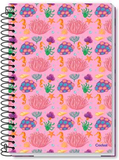 Caderno Credeal Universitario D' Tales Cd 20m 280fls