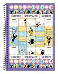 Caderno Credeal Universitario Smilinguido Cd 1m 80fls