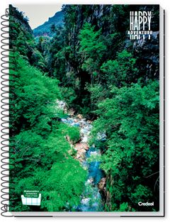 Caderno Credeal Universitario Happy Cd 16m 224fls