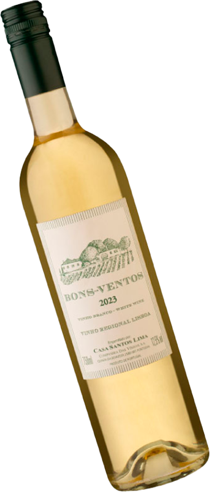 Vinho Portugues Bons Ventos Branco 750ml