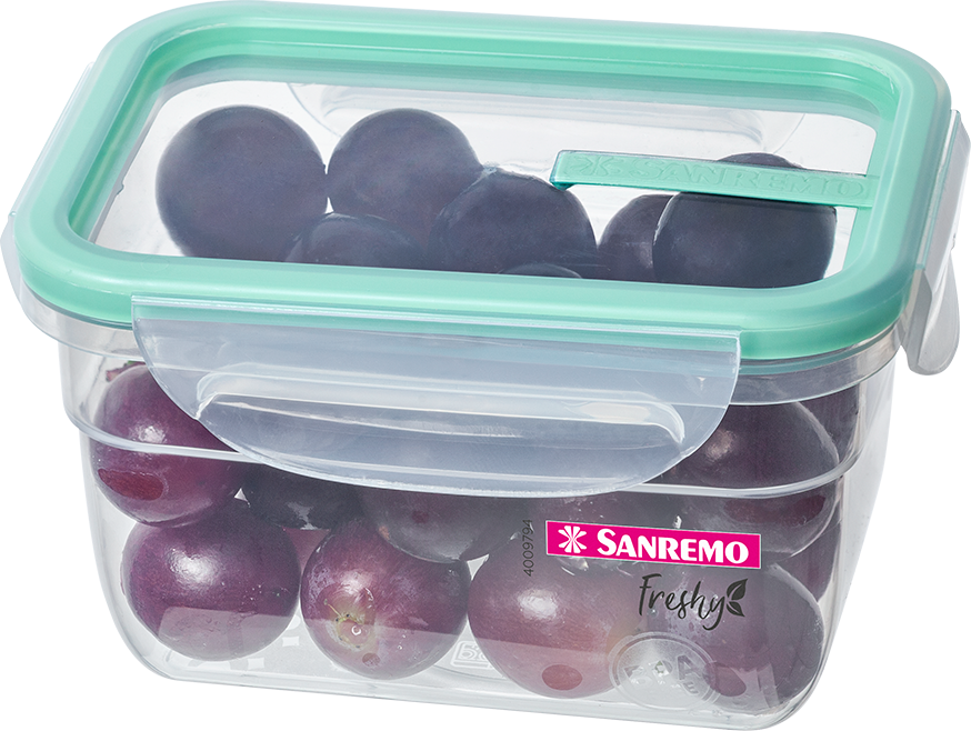 Pote Plastico Sanremo Com Trava Verde 537ml