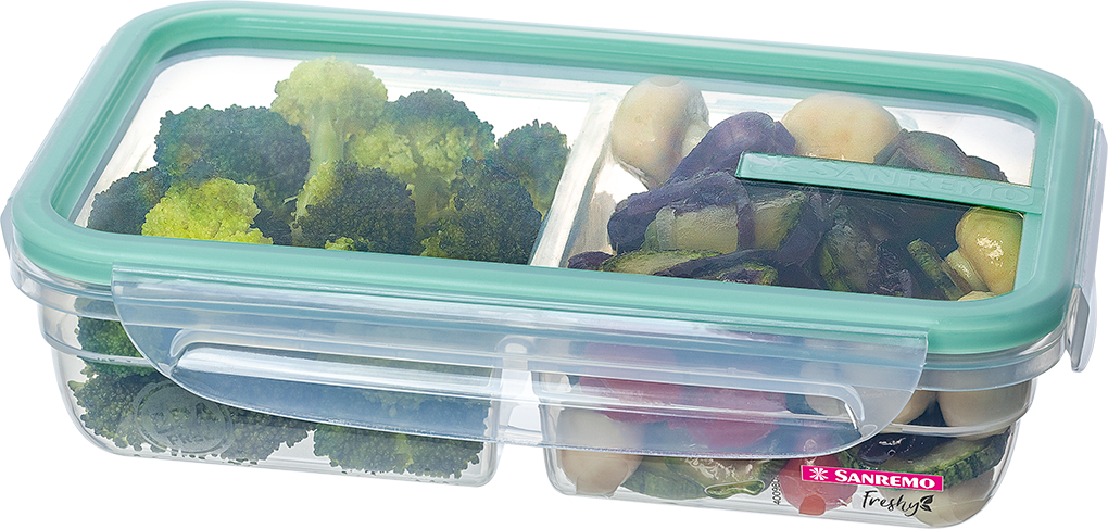 Pote Plastico Sanremo Com Trava 2 Divisorias Sortido 730ml
