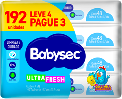 Toalha Umedecida Babysec Flip Top 192un Lv4 Pg3