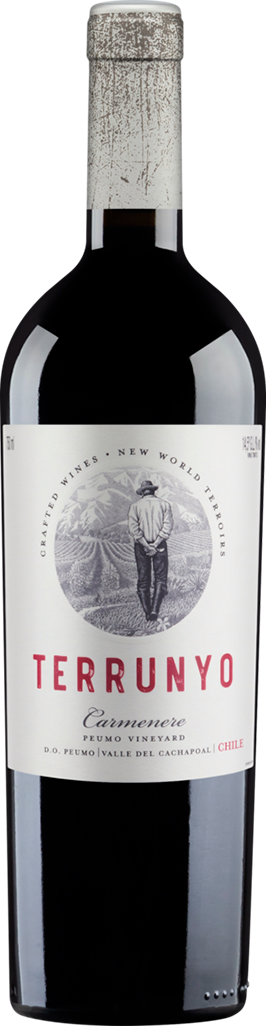 Vinho Chileno Terrunyo Carmenere 750ml