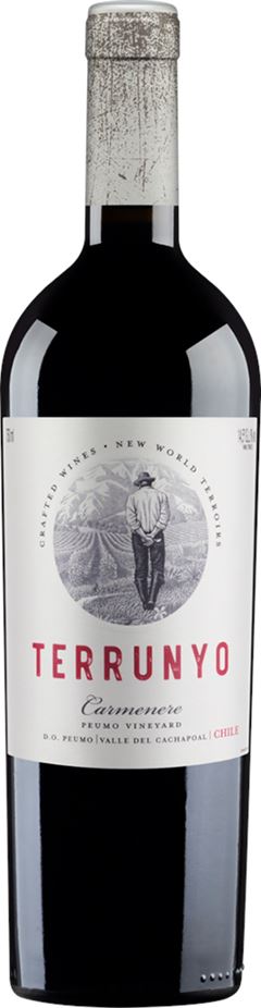 Vinho Chileno Terrunyo Carmenere 750ml