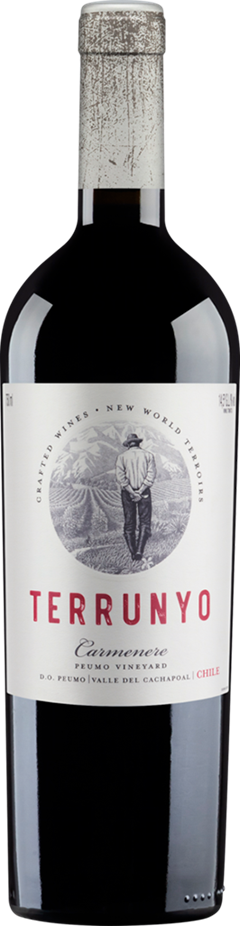 Vinho Chileno Terrunyo Carmenere 750ml