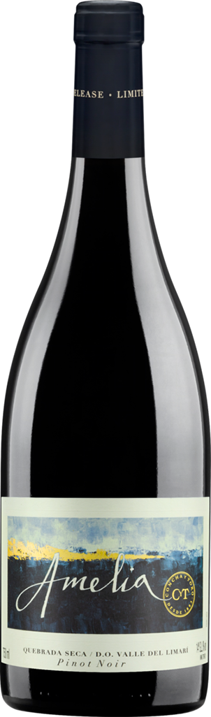 Vinho Chileno Amelia Pinot Noir 750ml