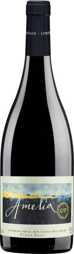 Vinho Chileno Amelia Pinot Noir 750ml