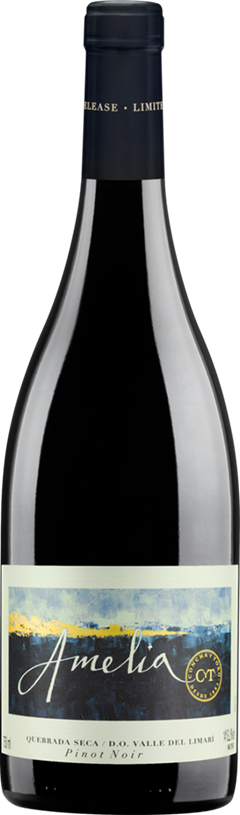 Vinho Chileno Amelia Pinot Noir 750ml
