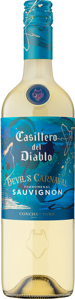 Vinho Chileno Casillero Del Diablo Devils Carn Sauvign 750ml
