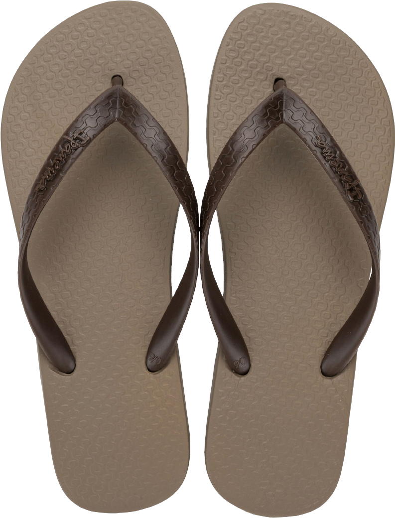 Sandalia Ipanema Classica Masc Adulto Bege/Marrom