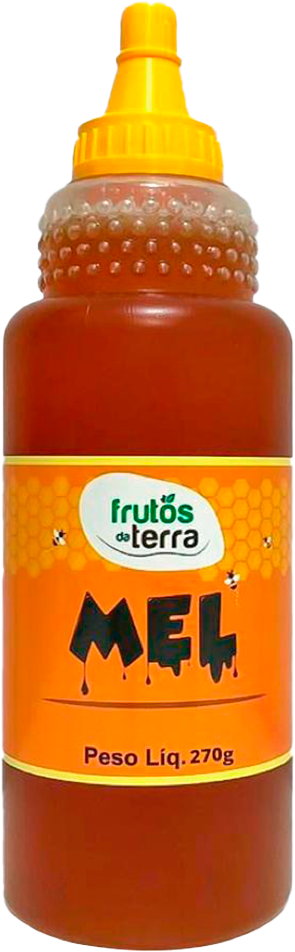 Mel Frutos Da Terra Silvestre 270g