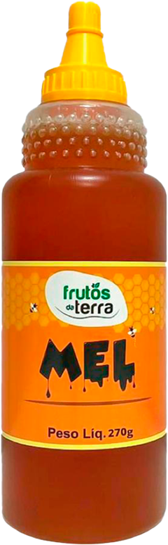 Mel Frutos Da Terra Silvestre 270g